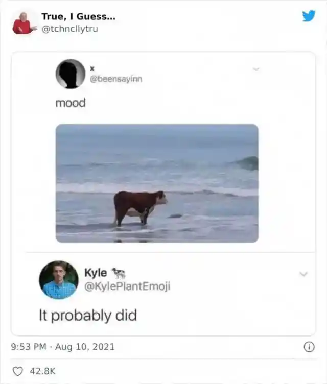 The Beach Cow Mood