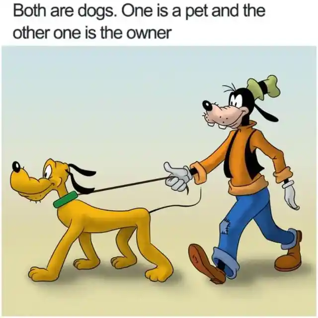 What species are Pluto and Goofy?