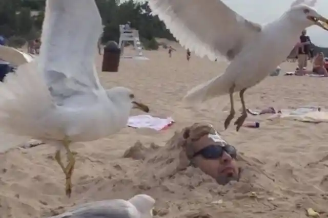 A Terrible Day at the Beach