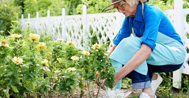 A Legacy of Care and Friendship 