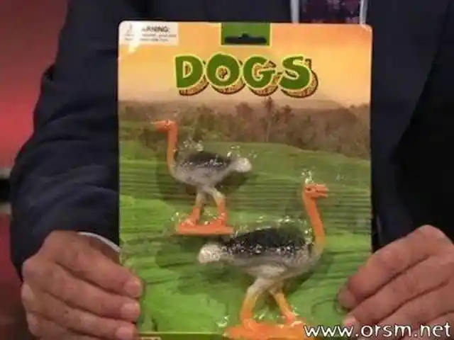 Ostrich-Dogs