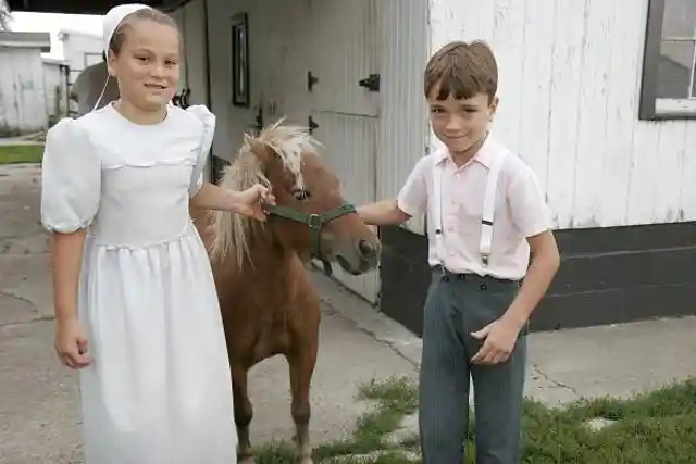 Mennonites and Amish