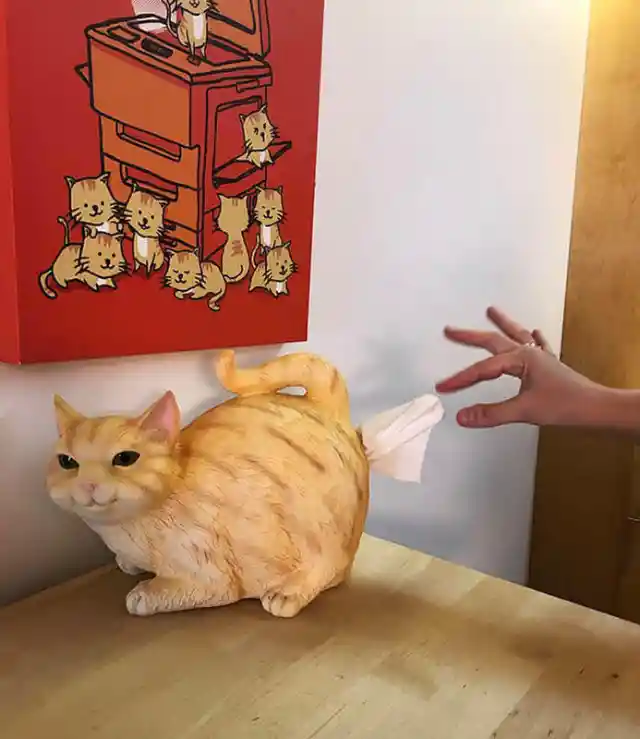 Tabby Cat Tissue Dispenser