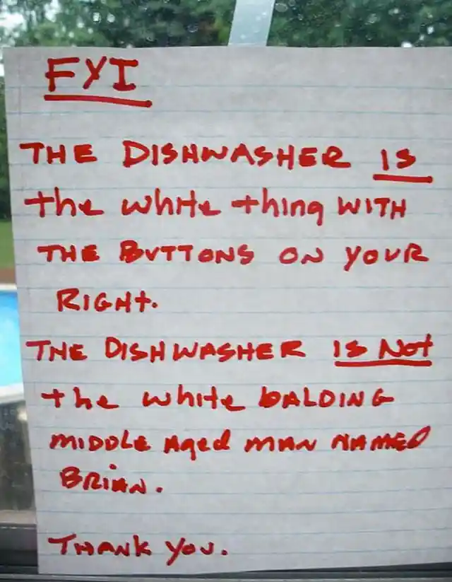 The Dishwasher