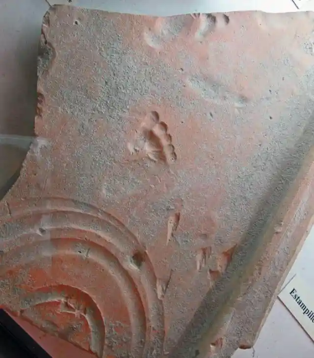 Roman Toddler Footprint