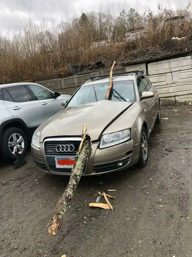  Long Branch Pierced the Hood of the Car