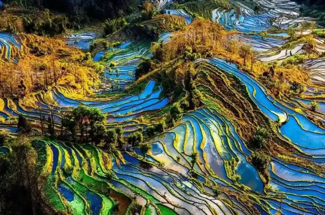 Yuanyang Rice Terraces in China