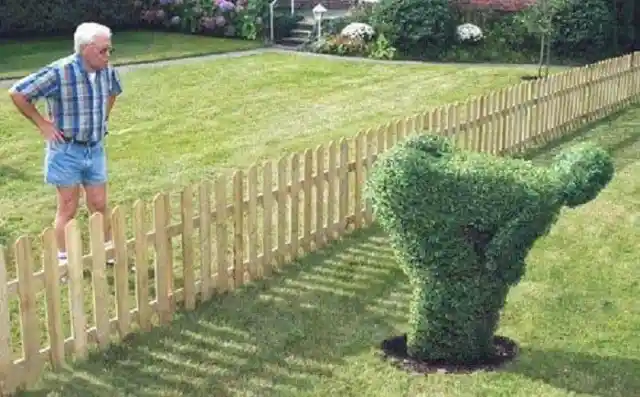 The Hedge is Always … Mooning You on The Other Side?