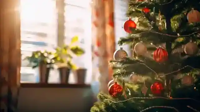 My Mother Left Me Her House, but Only If I Let My Brother Move in – on Christmas Morning, Everything Finally Made Sense