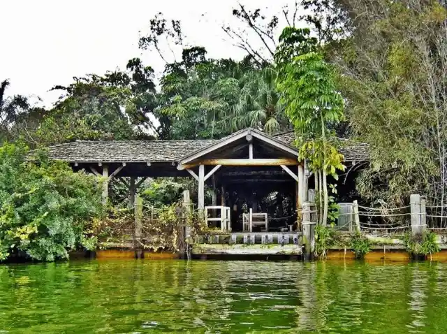 Disney's Discovery Island - Lake Buena Vista, Florida, USA