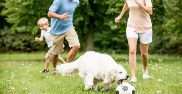 A Happy Ending for the Turners