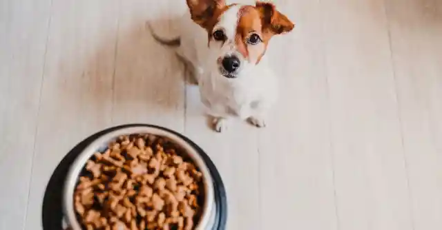 Half Her Portion