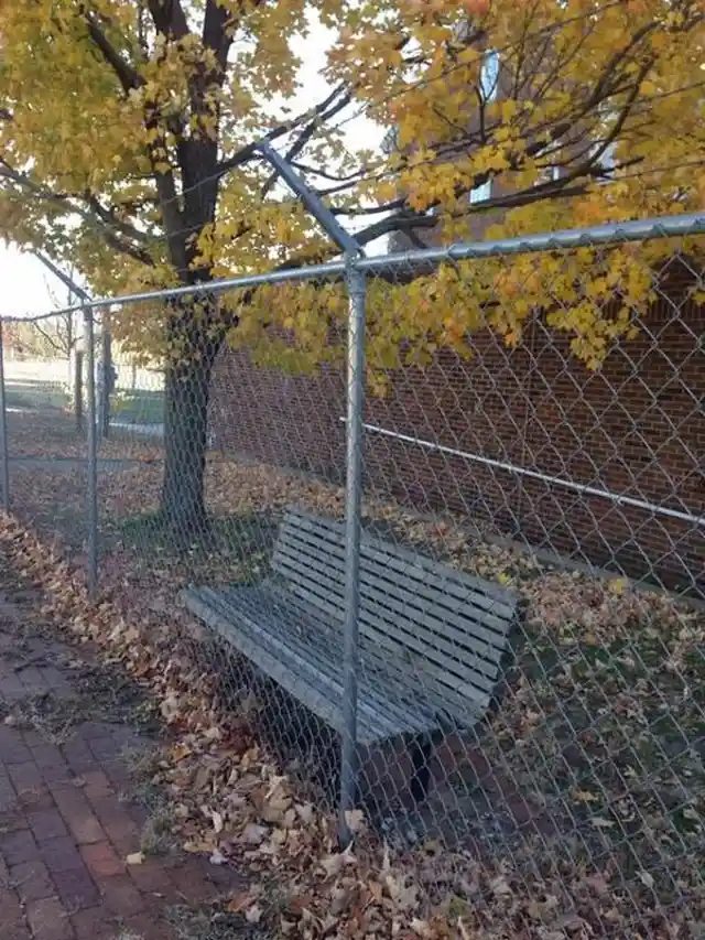 The Outcast Bench