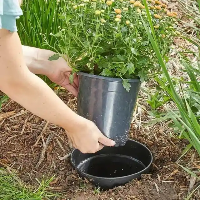 Gardening Made Easy