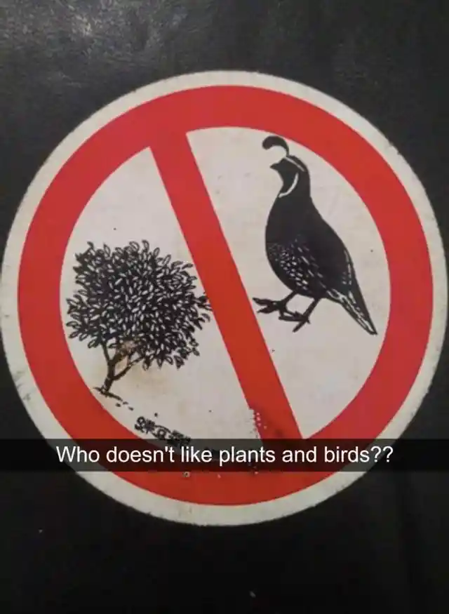 Birds and Plants Not Permitted