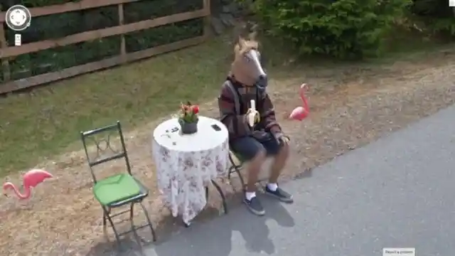 A Banana-Eating Horse