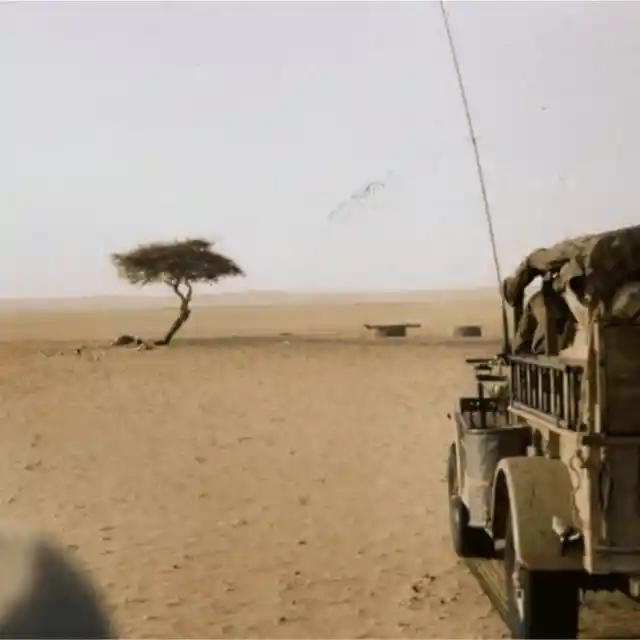 The Ténéré Tree – Sahara Desert