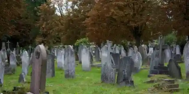 I Stumbled Upon a Headstone in the Woods and Saw My Childhood Photo on It – I Was Shocked When I Learned the Truth