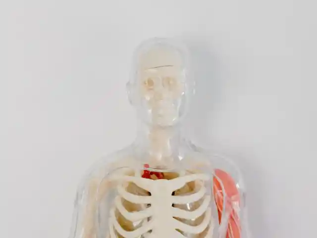 Just A Flesh Wound
