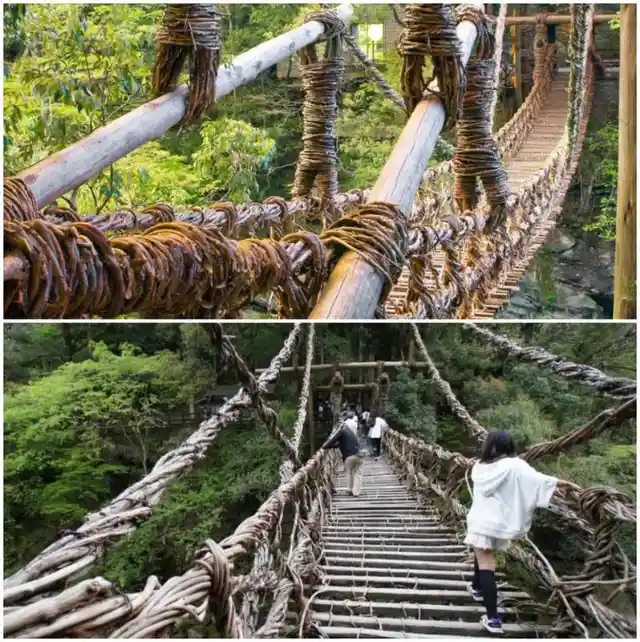 Iya Kazurabashi Bridge – Japan