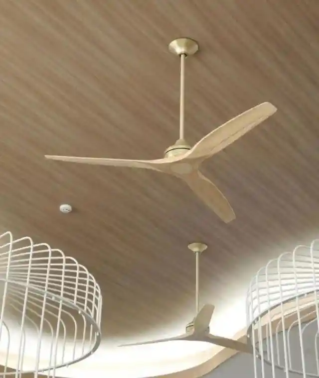 Reverse Function In Ceiling Fan