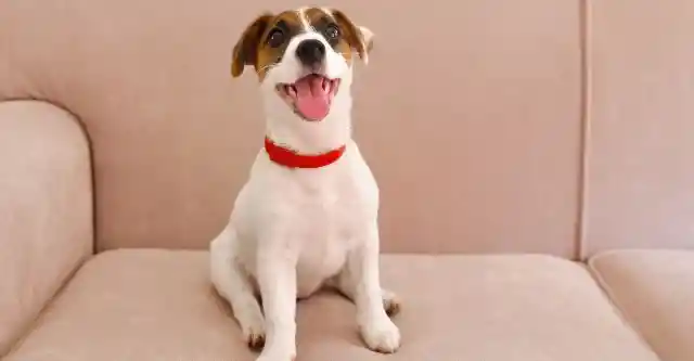 The Lesson That Stayed Forever