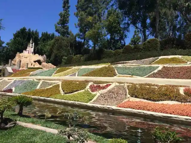 Edible Plants in Tomorrowland