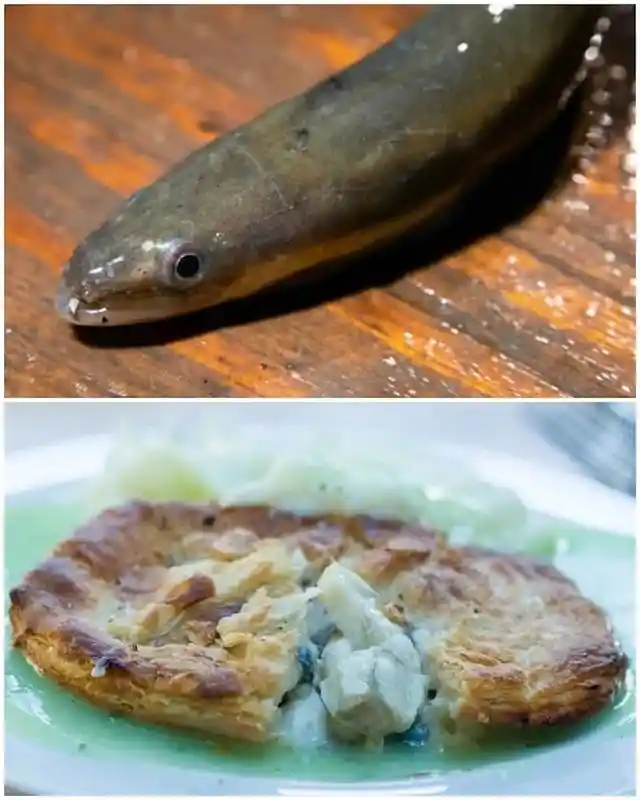 A Pie Made of Eels