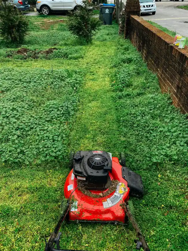 I Mowed My Elderly Neighbor's Lawn — Days Later, I Was Unexpectedly Handed a Private Jet Ticket