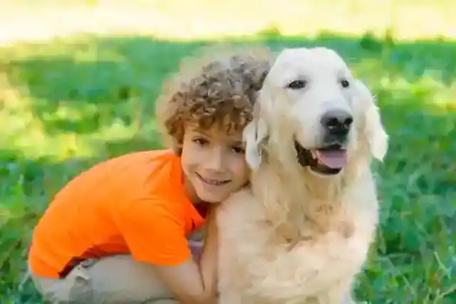 My MIL Snuck My 5-Year-Old Son Out of Kindergarten to Shave His Golden Curls – What My Husband Handed Her at Sunday Dinner Made Her Jaw Drop