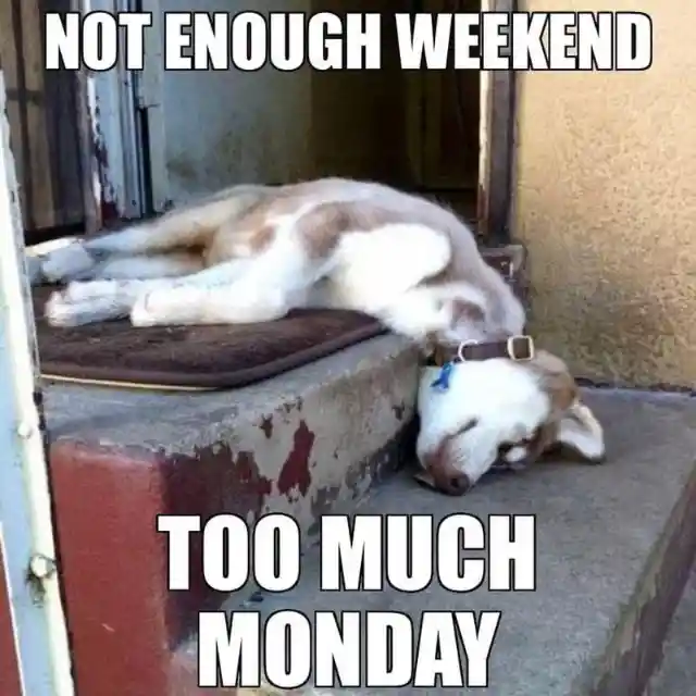 Too Much Monday