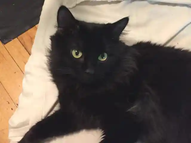 A Tiny Baby