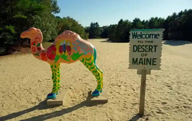 The Desert of Maine