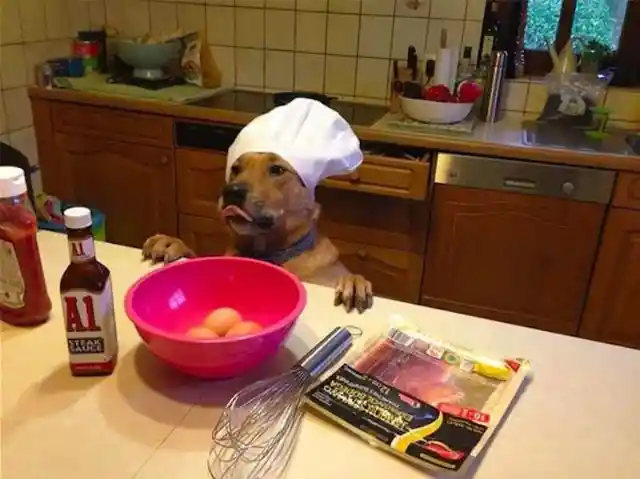 Master Chef