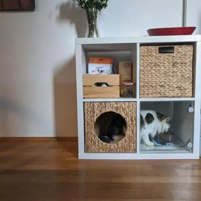 Cat cabinet