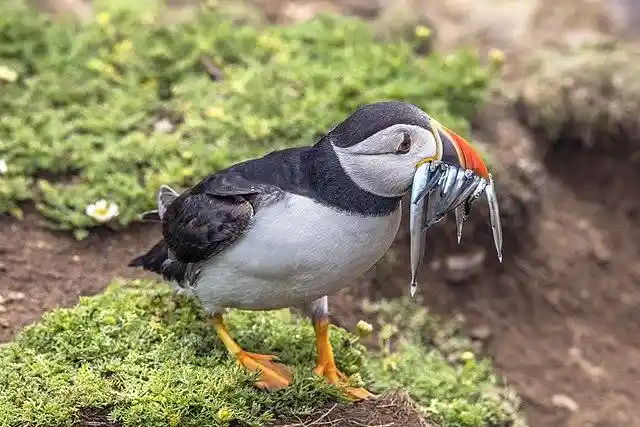 Inhabited by a Different Species