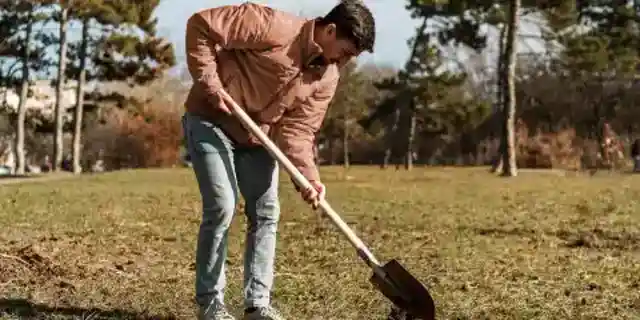 I Thought My Husband and 7-Year-Old Daughter Were Riding the Teacups at Disneyland – Instead I Saw Him Digging Something Into the Ground Behind Our Lake House