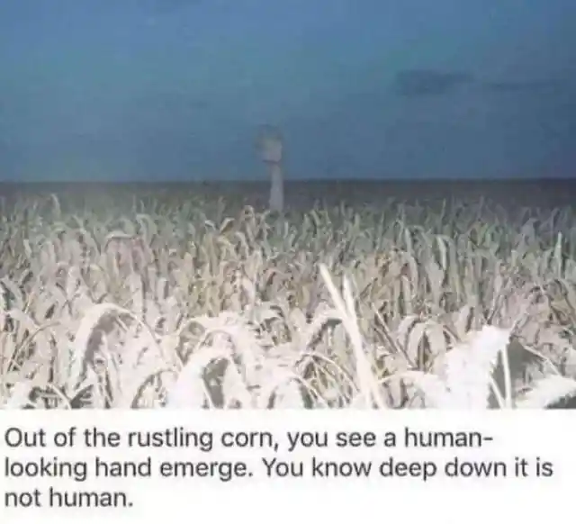 Hand in the Corn Field