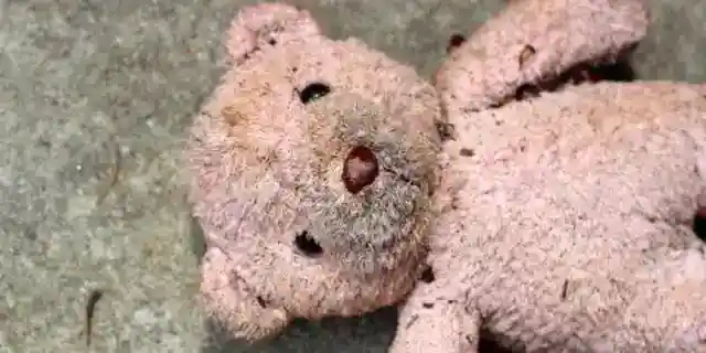 My Son Found a One-Eyed Teddy Bear in the Dirt – That Night, It Whispered His Name and Begged, 'Help Me'