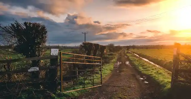 A Farm, A Dog, And A Wife