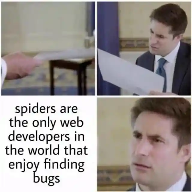 The Joy in Finding Bugs