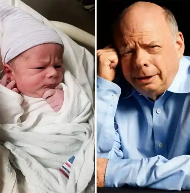 Wallace Shawn Doppelganger