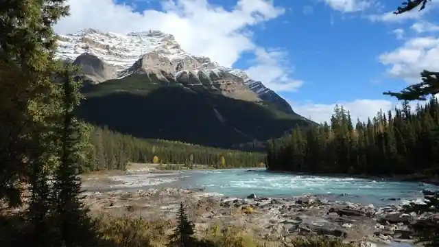 What is the world's longest international land border that Canada shares with another country?