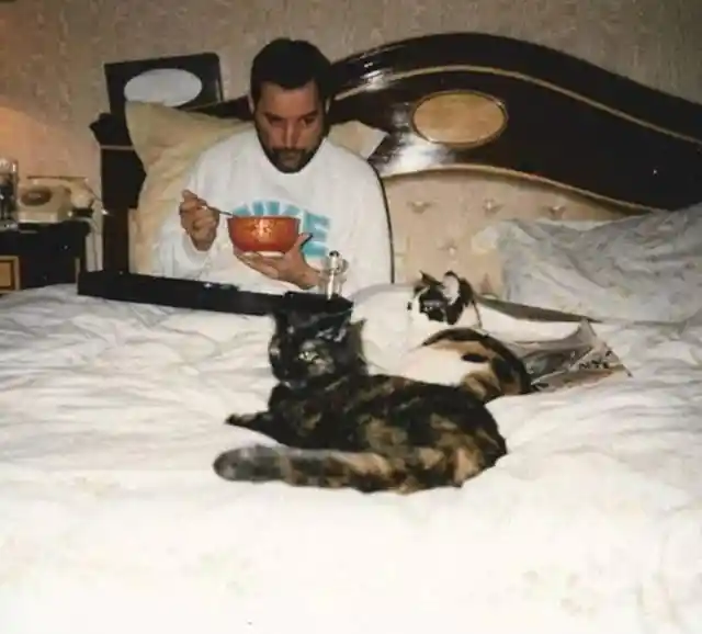 Freddie Mercury With His Cats