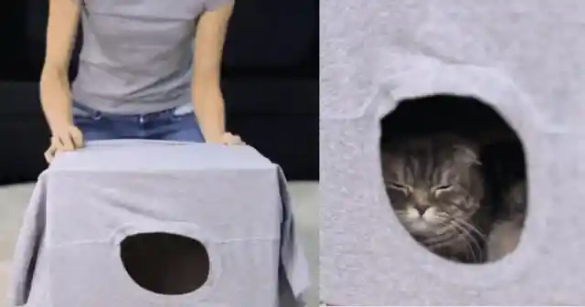 Instant Pet House Cover