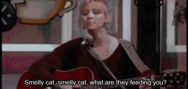 9. A World Without Smelly Cat?