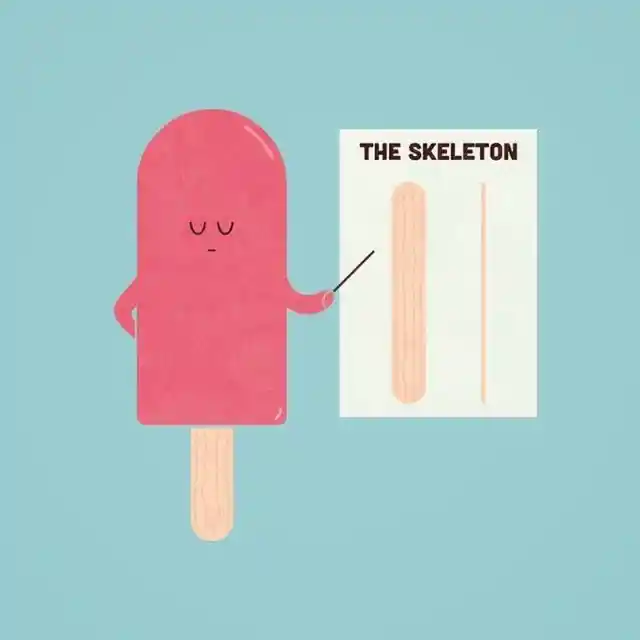 Anatomy Lessons Are Easy When You’re a Popsicle