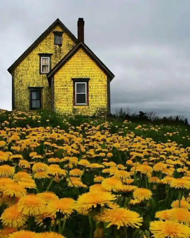 Abandoned Yellow House - Nova Scotia, Canada