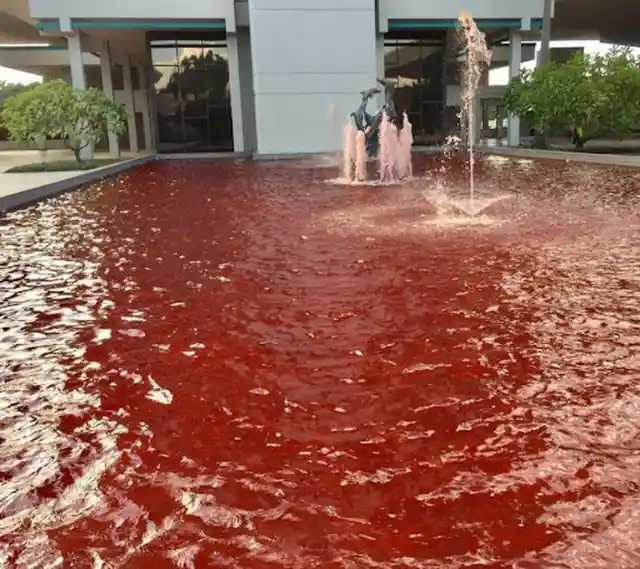 Red Fountain