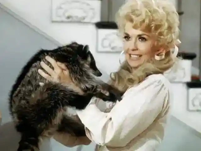 Animals On Set